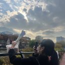 전라도회집 이미지