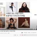 릴라엘레펀트 티스토리
