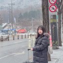 CU 무안낙지골목점 | 대한항공 KE657 방콕 지연, 인천공항 코트룸, 좌석과 기내식, 여행자보험 보상 후기