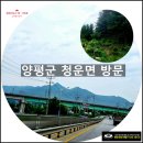 청운면사무소 | 염쟁이강씨가 자세히 알려주는 청운면 위탁대행(묘지 답사-개장신고) 및 용문사 힐링 방문 후기