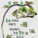 가시꽃ㅡ송 민경 노래ㅡ 이미지