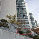 백양산월드메르디앙 이미지