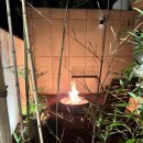 단풍스테이 이미지