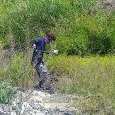 남대천로 이미지