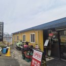 밀양횟집 | 밀양 삼랑진 맛집 대나무횟집 향어회 내돈내산