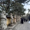 스마트렌트카 강릉 | [국내여행/렌트카]쏘카 카셰어링으로 겨울 부산여행 즐기기!(서면 이재모피자2호점/해동용궁사)