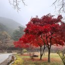 인간관계 명언 10가지 이미지