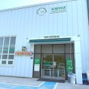 김포 애견호텔 애견유치원 꼬똥이네 이미지