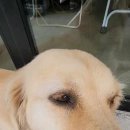 퓨파캠프커피앤스터프 이미지