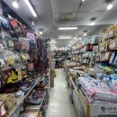 영창애견