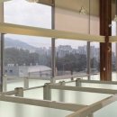 멍바이멍 반려견 유치원 이미지