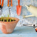 예능농장 이미지