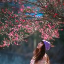 순천 매산고등학교
