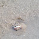 송정솔바람해변3 이미지