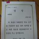책나무상