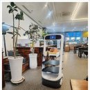 애견수족관 이미지