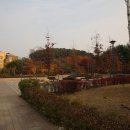 청계 청계중앙공원 매장문화재 유적 이미지