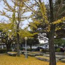 은대리 쉼나루 이미지