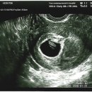 프라우삼성산부인과의원 이미지