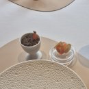 라미띠에플라워 | 청담 미슐랭 | 프렌치 파인다이닝 기념일, 데이트 추천 | 라미띠에 런치 코스 후기