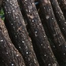 K1태양광발전소 이미지