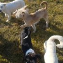 더블유펫 테마파크 이미지