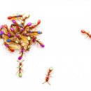 문명의 기원 이미지