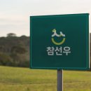 더앤디로그 이미지