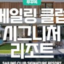 세일링라이브 네이버블로그