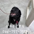 월평동물병원 이미지