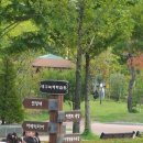 대구 가볼만한곳으로 대구자연과학고에서 열렸던 대구도시농업박람회 추천합니다.