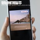 영남세계일주