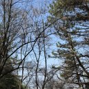 약수터 옆 이미지