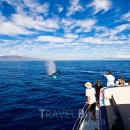 뉴서울농장2 이미지