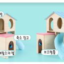 햄스터 다락방 이미지