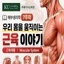 건국대학교 해부생리학 7주차｜근육은 어떻게 수축할까? 이미지