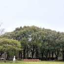너야말로진정회신제주점 | 제주 동쪽 가볼만한곳 길갈팜랜드 | 목장 동물 먹이주기 체험 다녀온 후기