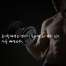 레드핏 휘트니스 이미지