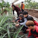 과일나라테마공원1 이미지