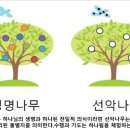 생명나무 이미지