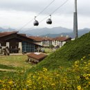 하이원랜드 이미지