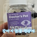 심쿵펫 | 강아지 눈+눈물 영양제 추천, 하율펫 닥터스 펫 솔직 후기