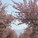 미사경정공원 이미지