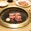 야마도리