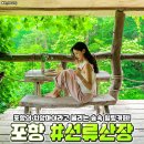 해변산장통나무민박 | 포항 선류산장 숲속 감성카페 추천 한국의 치앙마이 힐링 명소