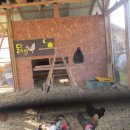 사랑어린학교 이미지