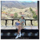 이십삼점오(23.5) 이미지