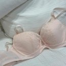 비너스(VENUS) | 지효브라 화제인 비너스 Yes, I am the VENUS 신상브라 착용후기