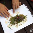 국립방장산자연휴양림 이미지