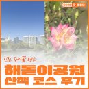 송도 해돋이공원 배드민턴장 | 인천 송도 해돋이공원 장미원 산책코스 후기
